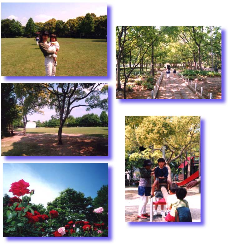 �V����������